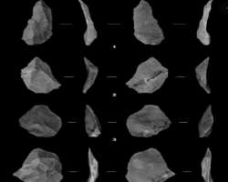 The site grabbed the interest of archaeologist for the research as stone tools and pottery was found in the caves. They also found some humans and ani